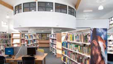 The Library