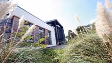 The Main Entrance with Student Planting