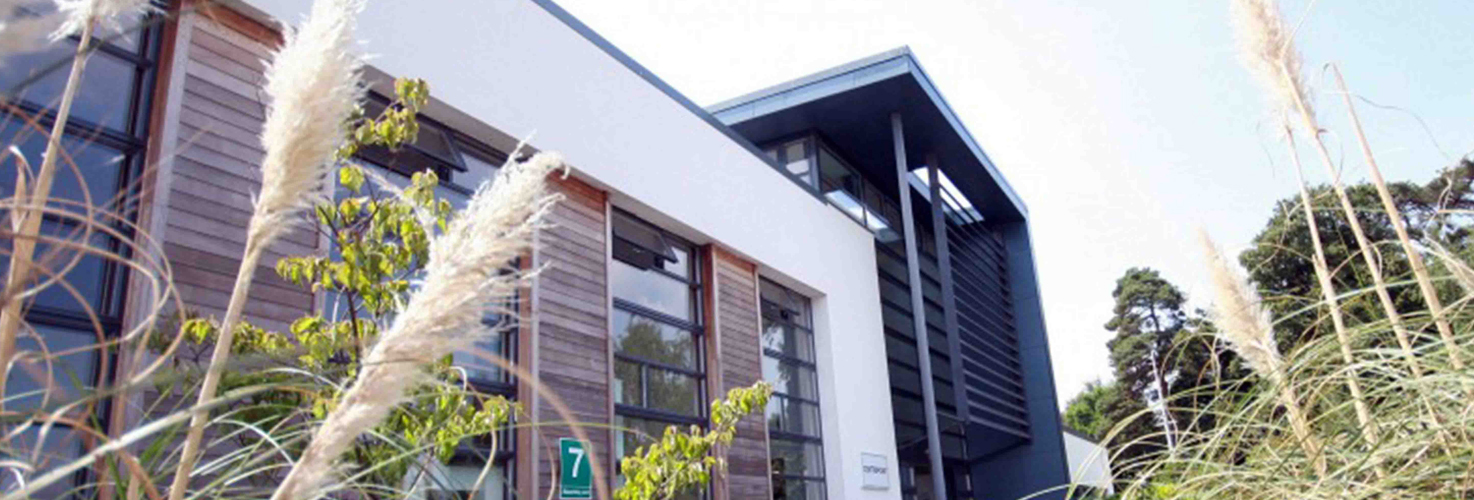 10 Alternatives To Public Tenders